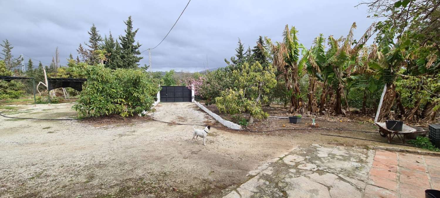 Plot for sale in Mijas